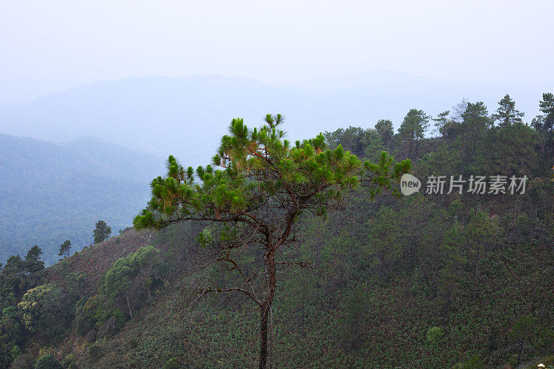 Doi孟Angkhet周围的山脉和森林