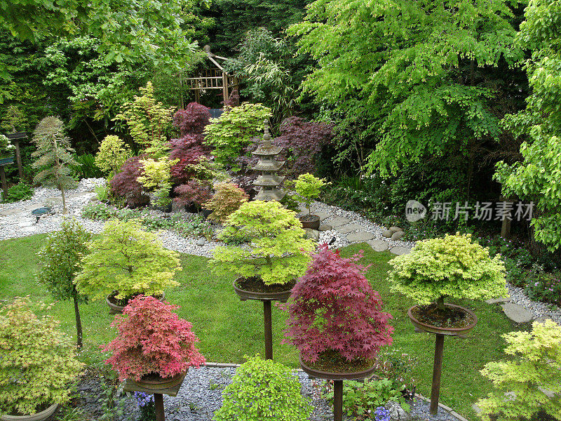 带有日本元素的花园踏脚石路径图像，花岗岩宝塔和灯笼，竹子，鹅卵石，盆景和日本枫树(槭树)