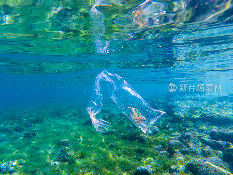 在蓝色的海水里装着海藻的塑料袋，水下照片。热带海洋和塑料垃圾。生态问题