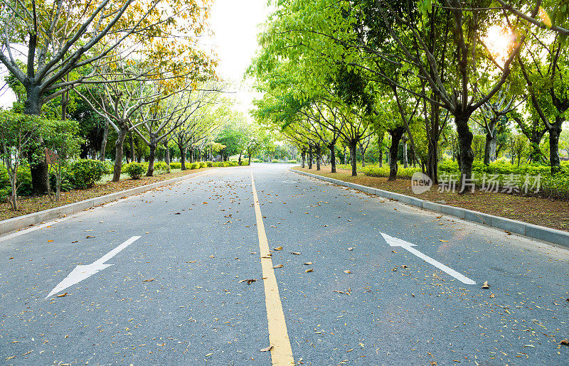 有箭头标志的沥青公路