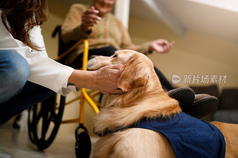 资深女性，在家照顾治疗犬