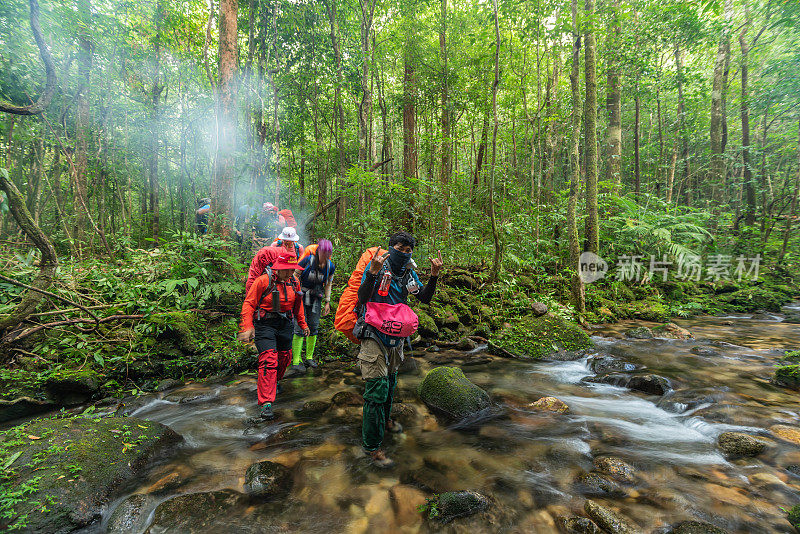 徒步旅行者们在绿色的森林河流中露营