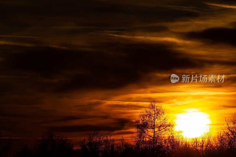 在一个寒冷的冬天，山上光秃秃的树和夕阳的背景