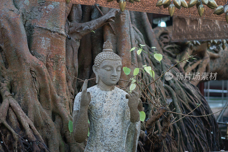 斯里兰卡科伦坡的甘加拉雅寺