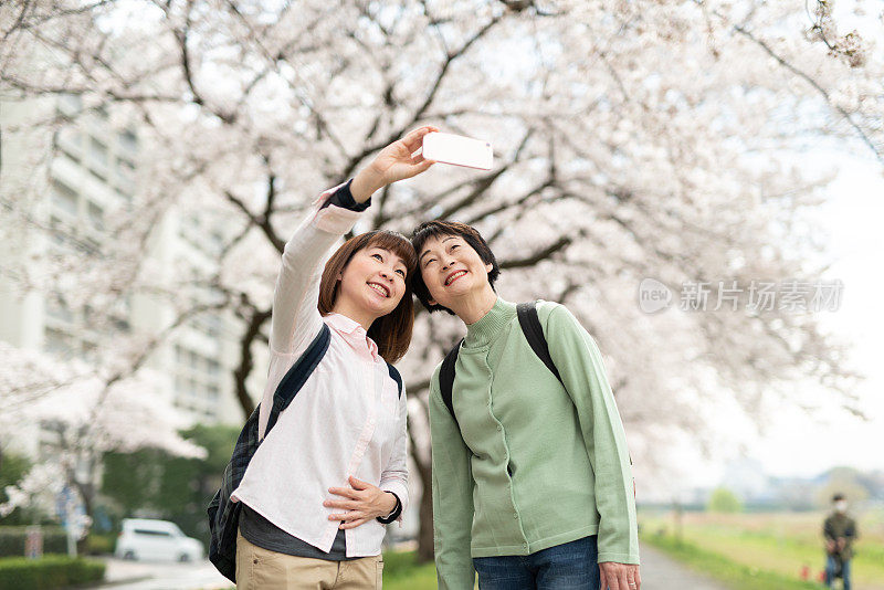 年长女性和中年女性在樱花的背景下自拍