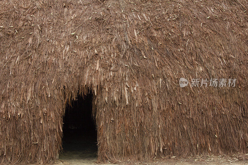 典型的亚马逊印第安人住宅