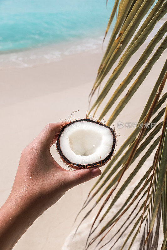 在沙滩上用棕榈叶牵着椰子