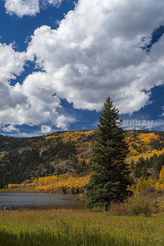 秋天的颜色在科罗拉多州落基山脉的一个山池塘