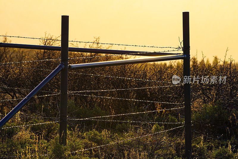 铁丝网围栏与晨光