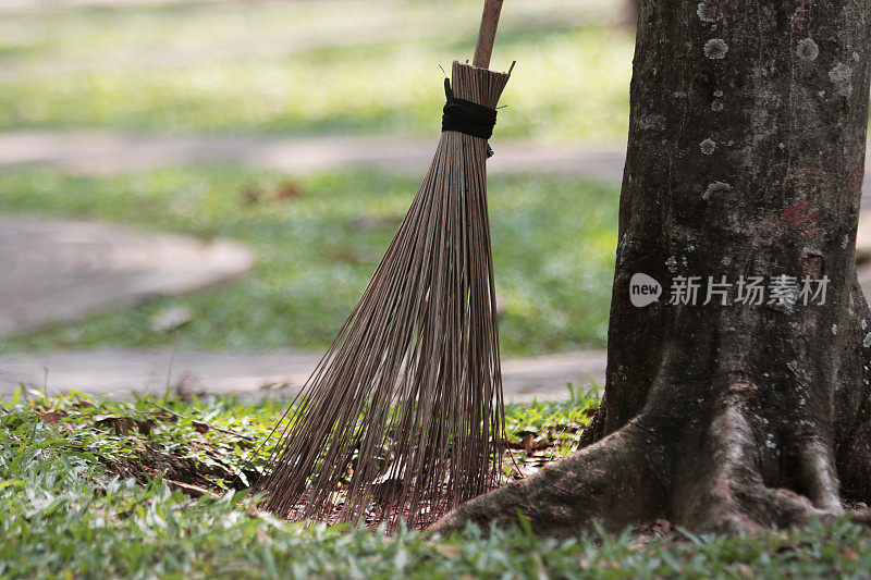 在花园的树下扫一扫