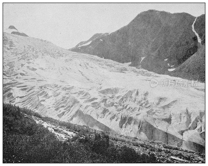 美国古老的黑白照片:大冰川