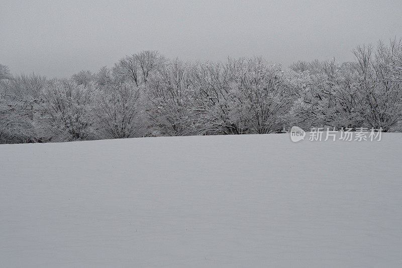 暴风雪-雪域