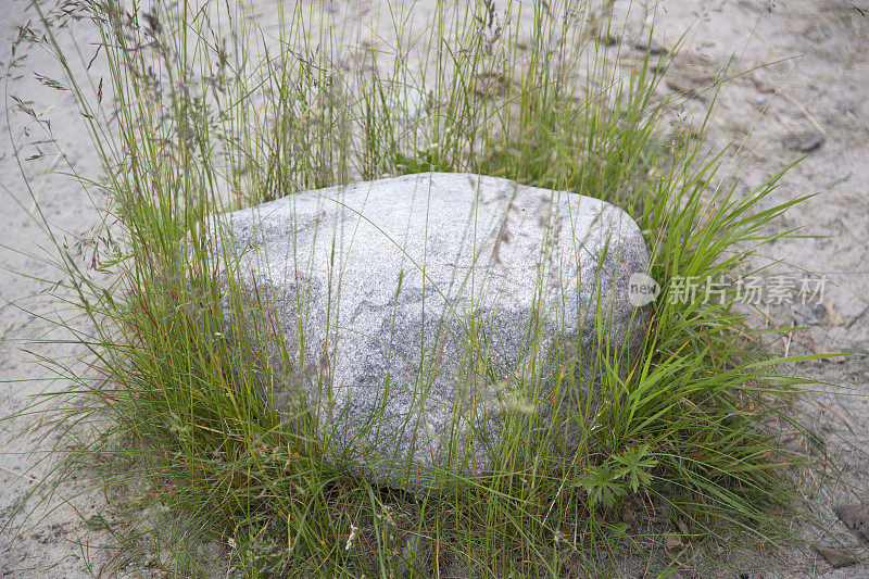 海滩上的一块大石头，被草覆盖着