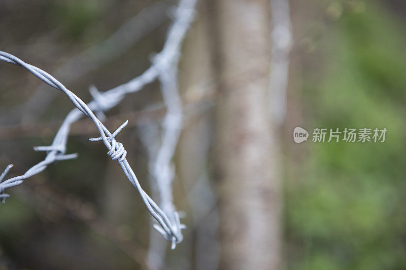 特写的一个有刺的铁丝网篱笆在农村，与浅的景深