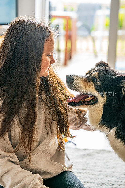 13岁的女孩和宠物边境牧羊犬