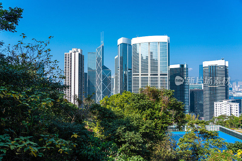 香港城市鸟瞰图