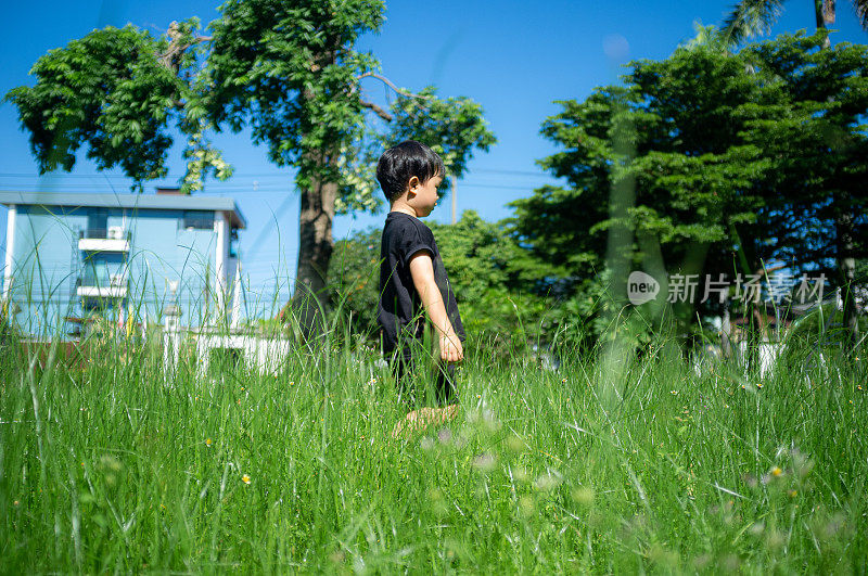 高草的院子里