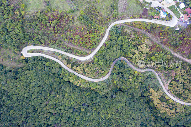 蜿蜒的道路。穿越森林的田园诗般的蜿蜒道路。鸟瞰图