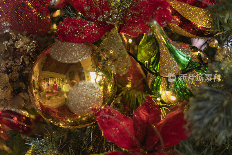 圣诞节装饰的一个房子的客厅