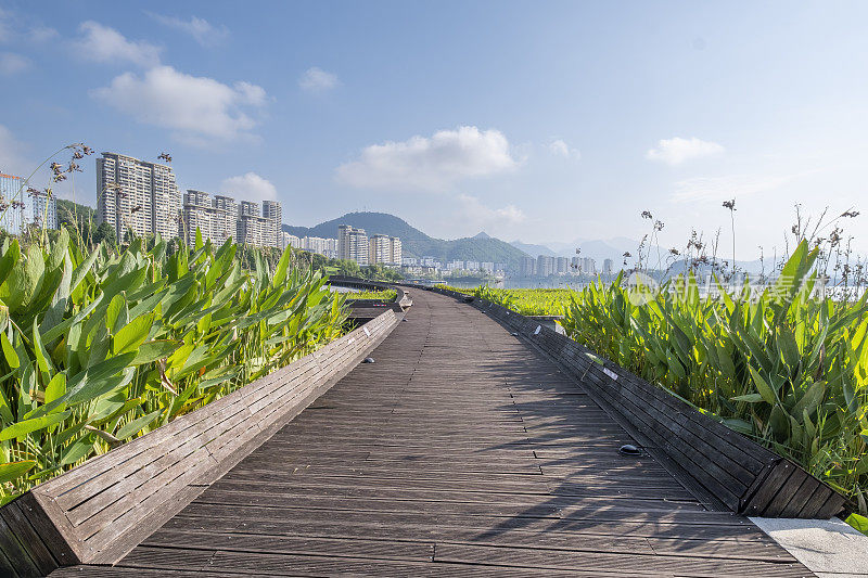 中国杭州，千岛湖边的木板路