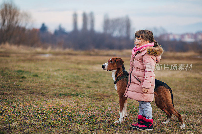 一个可爱的小女孩的侧面照片，她看着远方，带着她温顺的三色狗，微笑着。