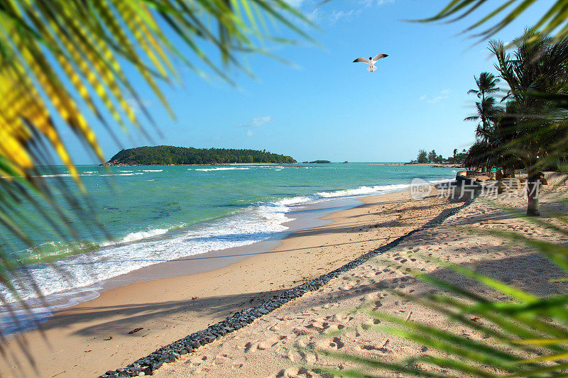 阳光明媚的热带岛屿沙滩蓝天