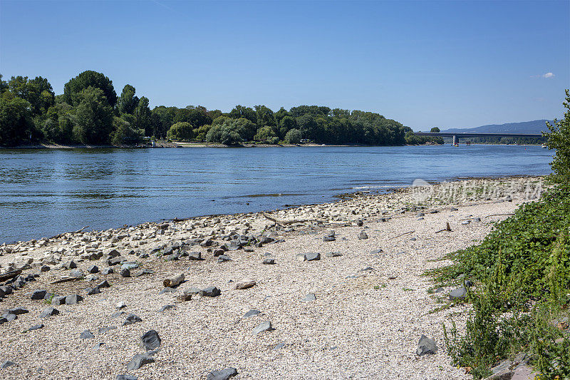 莱茵河-异常低的水位