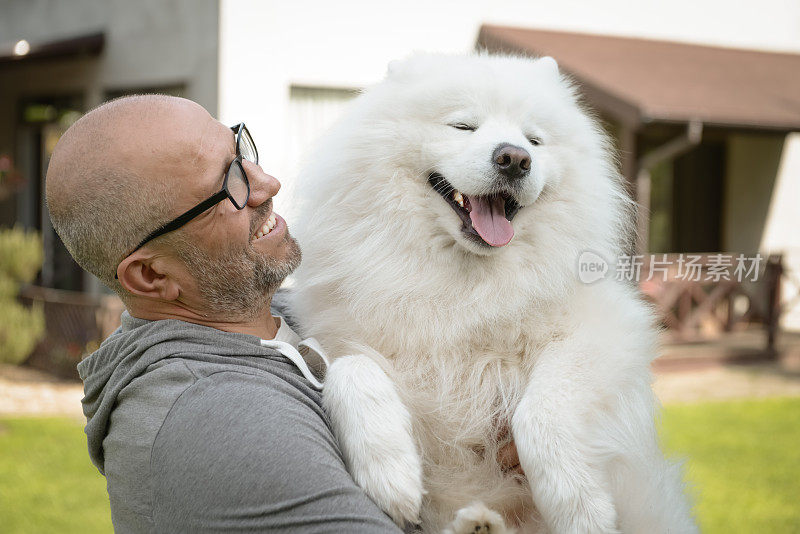 成熟的成年人带着萨摩犬在户外