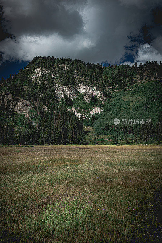 犹他州山区，康涅狄格州。