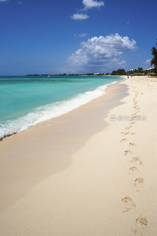 加勒比海热带海滩
