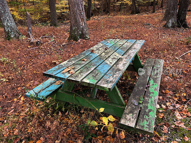森林里的野餐桌