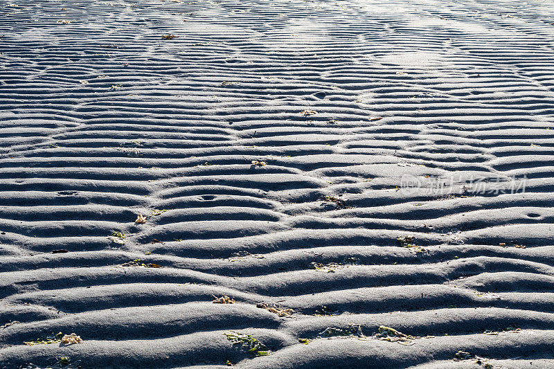 波纹纹纹砂