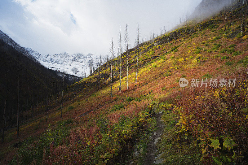 加拿大山地景观