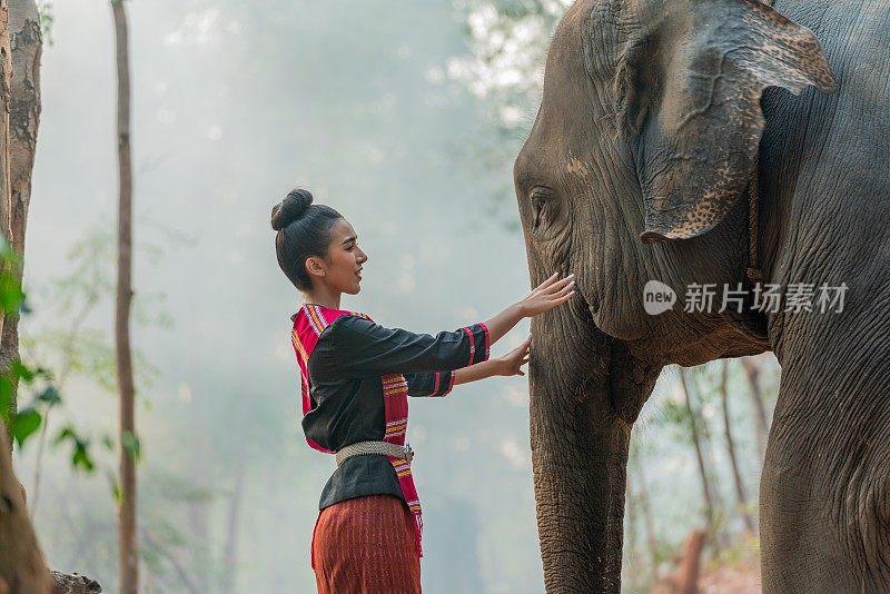 年轻美丽的亚洲女子在传统的泰国东北部伊桑服装触摸和纵容一个巨大的大象