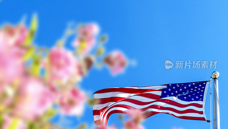 美国国旗和鲜花在晴朗的天空