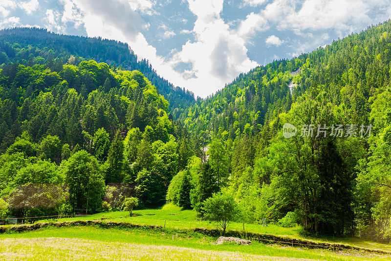 山的风景。Lauterbrunnen。瑞士。伯尔尼州。穆伦村庄。夏天。绿草
