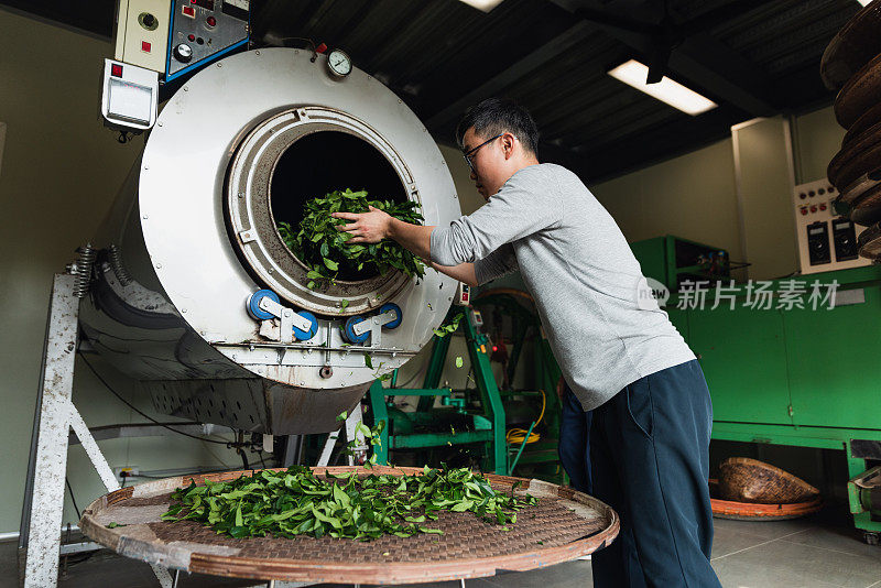 捕捉宁静的氛围，一个茶厂与茶师傅热干燥茶