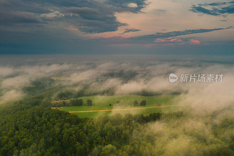 绿色森林鸟瞰图。无人机摄影。夏天的天空。可持续性。自然保护。早....