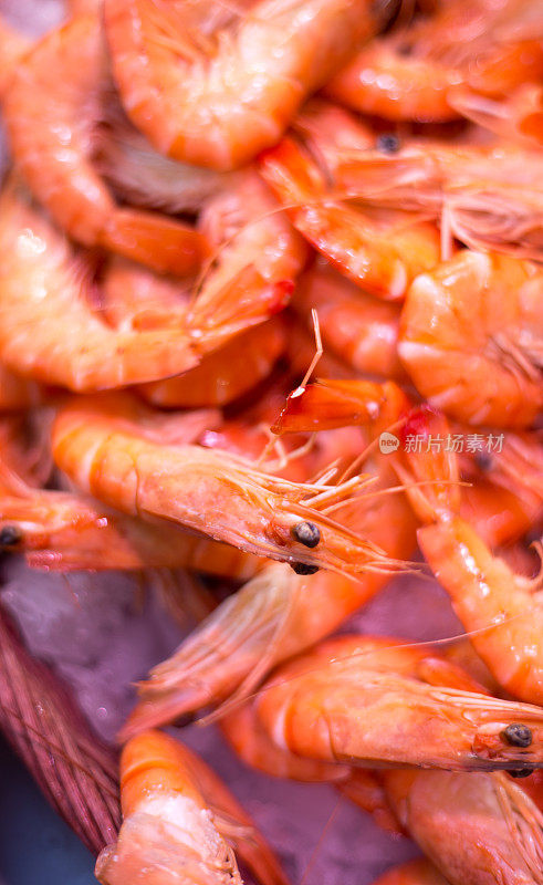 法国:鱼市的新鲜生虾特写