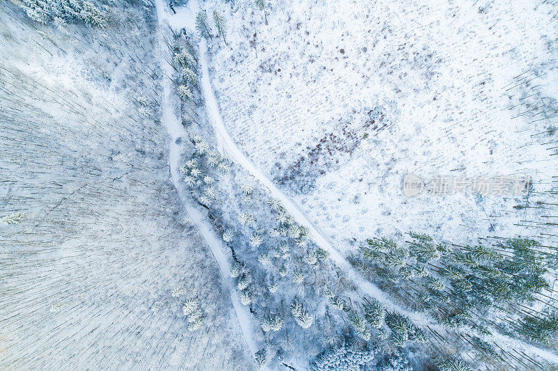 无人机俯瞰被雪覆盖的森林道路