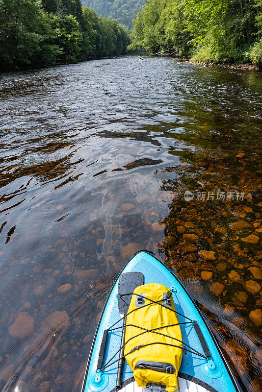 在夏天的河流上，一个站立桨板上的POV