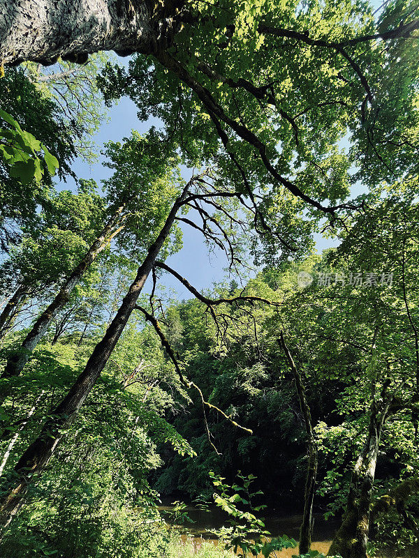 山清水秀，秋高气爽