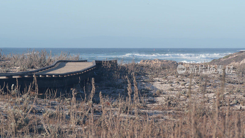 海洋海滩沙丘，加利福尼亚海岸植物群。小径，木制木板路。