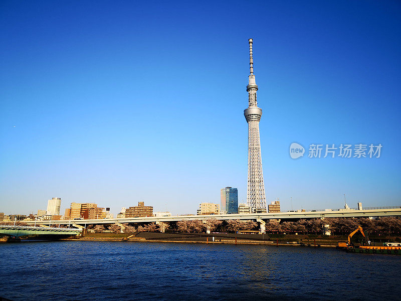 日落时分的东京天际线隅田河