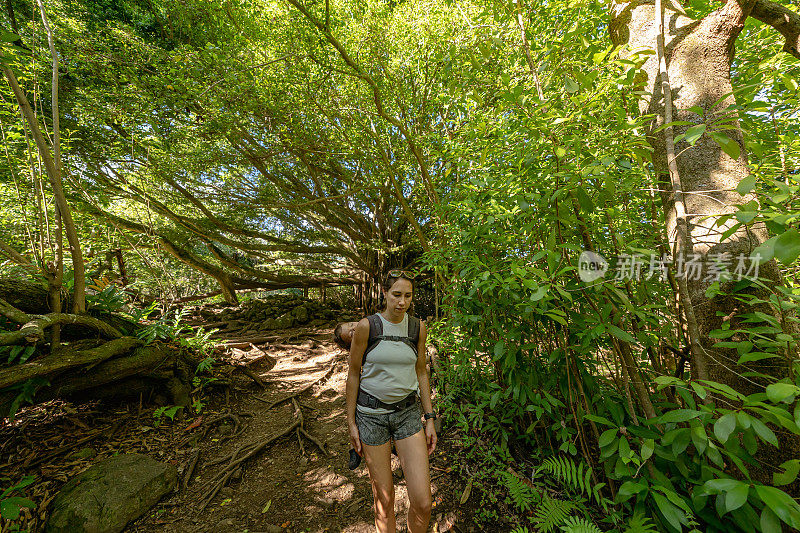 蹒跚学步的孩子在夏威夷徒步旅行时睡在妈妈的背上