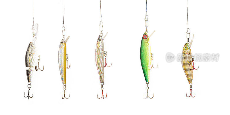 白色背景上的鱼饵。