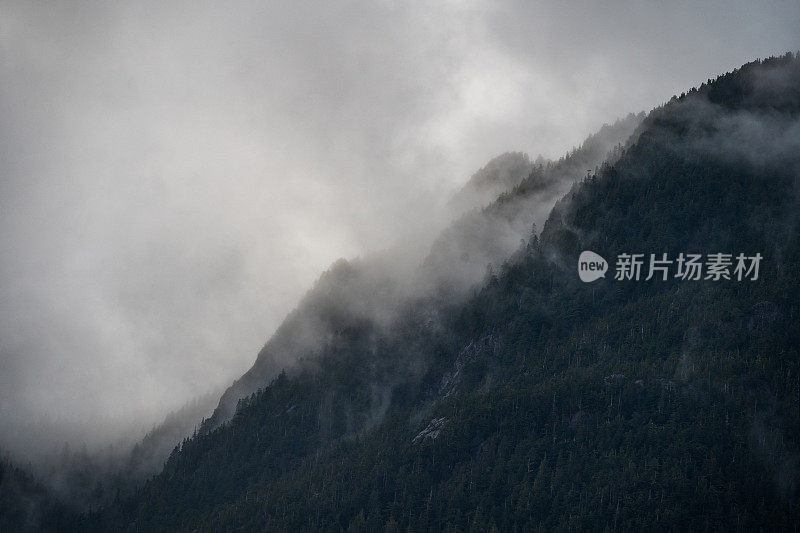 雾山雨林温哥华岛