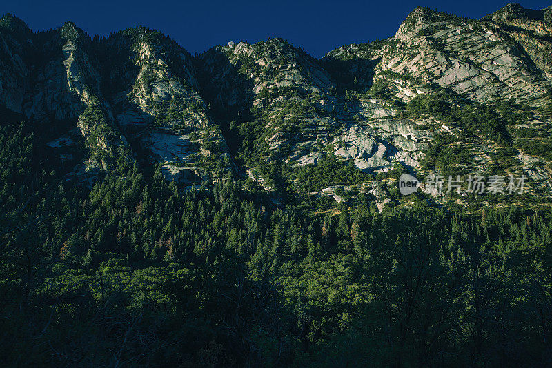 犹他州山，康尼菲尔。