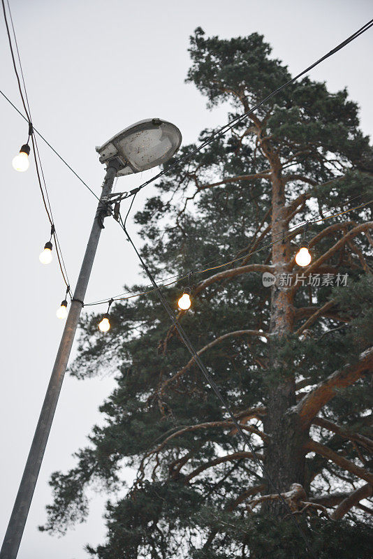 一根绿色的松枝上挂着一串灯，系在一个金属灯笼上，映衬着冬日的白色天空