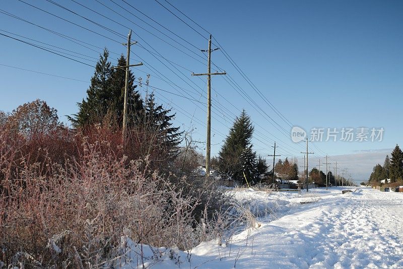 加拿大绿带小径上的雪